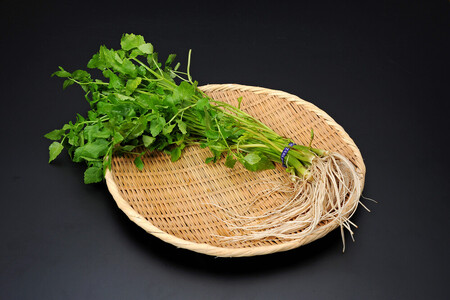 三関産セリ 5束 せり 秋田県 ふるさと 人気 ランキング【奥山果樹園】[M7801]