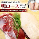 【ふるさと納税】鴨ロースブロック(むね肉)約500g_A2-89【配送不可地域：離島】【1106346】