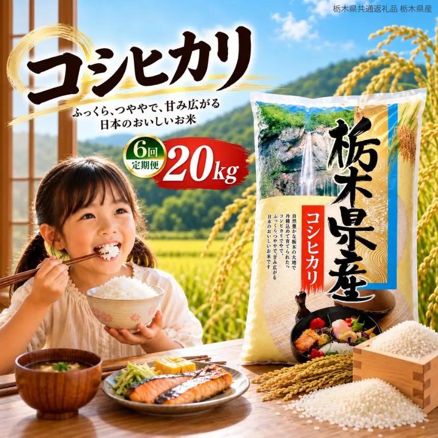 【定期6回】令和8年度産 栃木県産 こしひかり 5kg × 4袋 （合計20kg） | 【栃木県共通返礼品】送料無料 那珂川町 栃木県