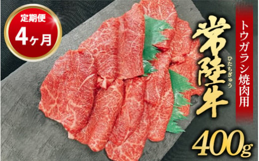 
【定期便 4ヶ月】【希少部位】常陸牛トウガラシ焼肉用400g
