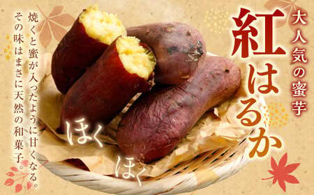 “熟成” 茨城県産 神栖市産 さつまいも 【 紅はるか 】 約5kg 芋 いも サツマイモ 野菜 やさい 国産 
