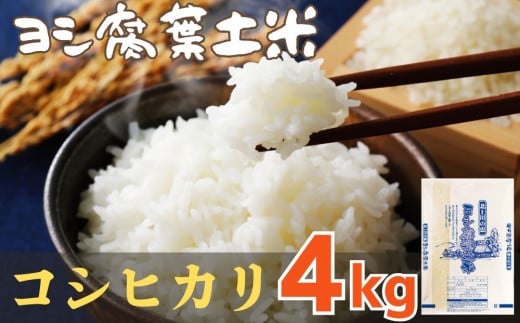 令和6年産 品種が選べる ヨシ腐葉土米 精米4kg ＜コシヒカリ＞　