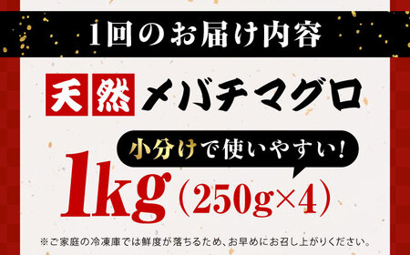 【全12回定期便】まぐろ ねぎとろ 1kg（250g×4パック）【本まぐろ直売所】[AKAK037]