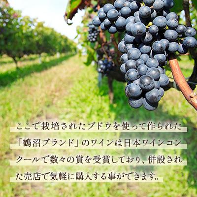 ふるさと納税 浦臼町 鶴沼収穫ワイン【レンベルガー】赤ワイン 2019年産 |  | 03