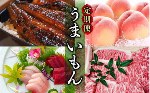 【新宮市】うまいもん定期便　6回 / うなぎ 鰻 ウナギ 国産 和牛 牛肉 サーロイン ステーキ もも モモ 桃 まぐろ マグロ 鮪 天然 サブレ ドーナッツ 洋菓子 産直 特産品 ご当地【tkb139】