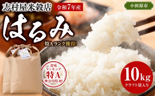 志村屋米穀店 令和7年産小田原市産　はるみ　10kg（5kgｘ2）