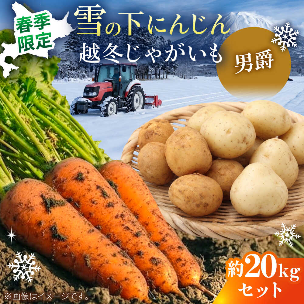 【ふるさと納税】【2027年3月下旬以降順次発送】 雪の下にんじんと越冬じゃがいもセット 計20kg（男爵）| 野菜セット 野菜 セット にんじん じゃがいも 先行予約 | 道の駅 真狩フラワーセンター[BPAM032]