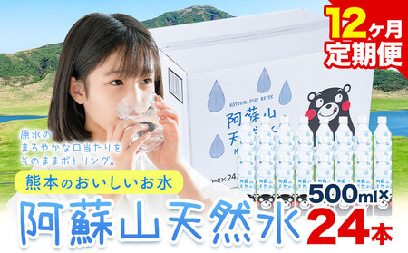【12ヶ月定期便】水 熊本 の おいしい お水 阿蘇山 天然水数 500ml × 24本 丸富産業《お申し込みの翌月から出荷開始》熊本県 御船町 水 天然水 みず 熊本 飲料 熊本県 ミネラルウォーター