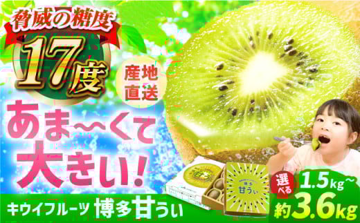 【★先行予約★　2025年11月上旬以降発送】福岡県ブランド! キウイフルーツ 博多甘うぃ 約3.6kg キウイ きうい あまうぃ 果物 くだもの フルーツ ギフト 甘い 果肉 果実 ビタミンC 博多 広川町 / JAふくおか八女農産物直売所どろや [AFAB013]