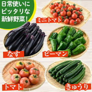 ＜数量限定・期間限定＞高千穂地区高冷地野菜詰め合わせ(5種) やさい きゅうり ピーマン トマト ミニトマト なす 茄子 冷蔵 季節 新鮮 旬 産地直送 【NK017】【宮崎県農業協同組合　高千穂地区
