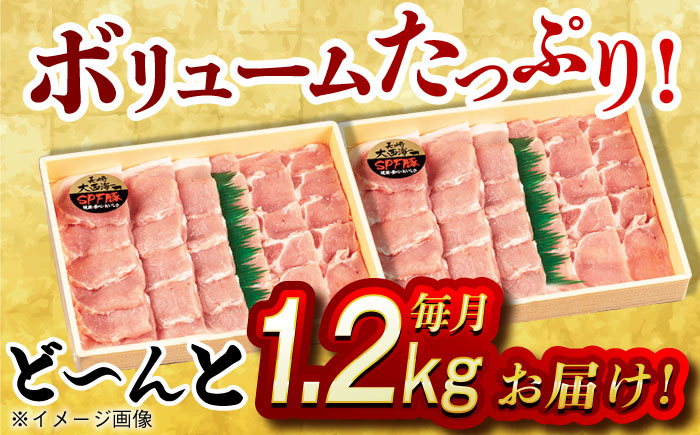 肉 豚 ぶた ブタ ロース 焼肉 焼き肉 小分け 西海市 長崎 九州 定期便
