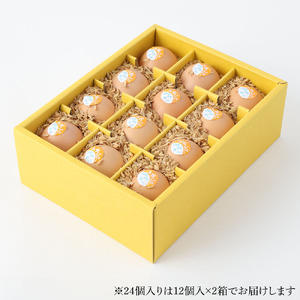 ましくんの完全放し飼い土佐ジローの卵 (12個入り×2箱)もみ殻梱包 【R00444】