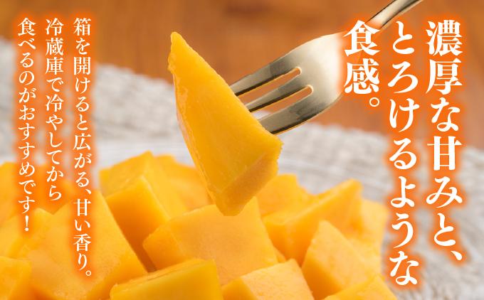 アップルマンゴー中品 約1.8kg（5～6玉）化粧箱