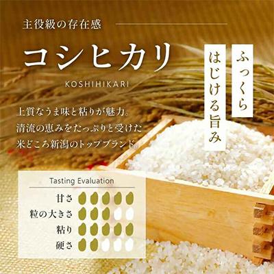 ふるさと納税 見附市 新潟県産 精米 10kg 極み 食べ比べセット( コシヒカリ × こしいぶき ) 各 5kg |  | 01