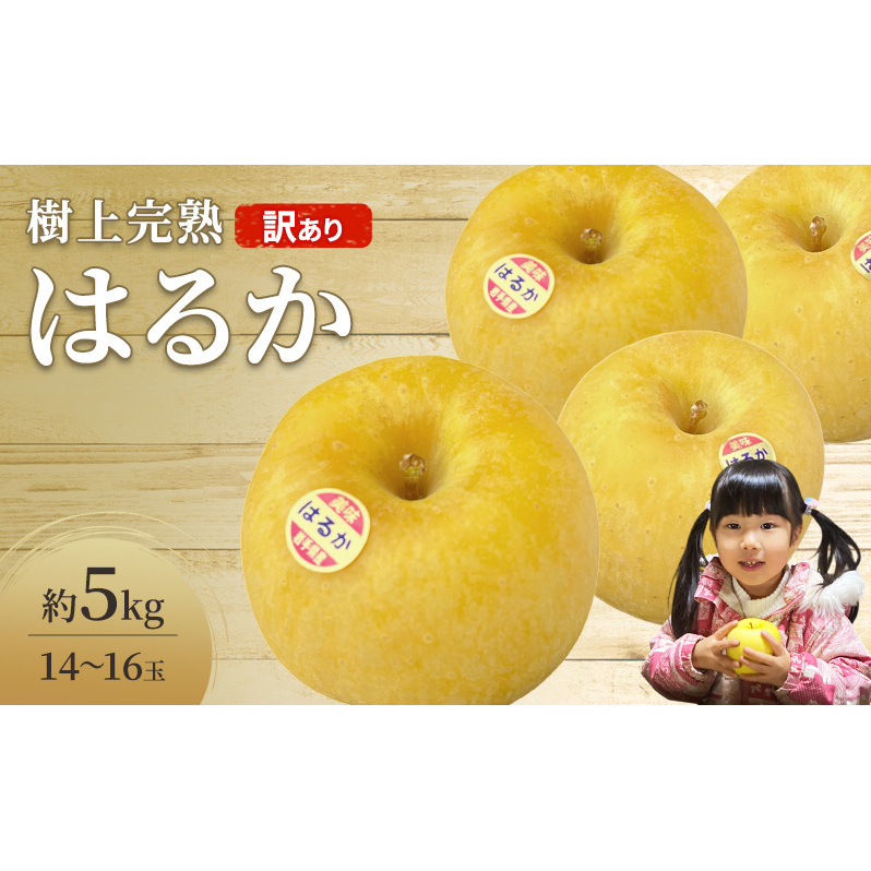 先行予約 訳あり りんご はるか 約 5kg 14～16玉 樹上完熟 林檎 リンゴ 果物 くだもの フルーツ 旬の果物 旬のフルーツ 季節の果物 季節のフルーツ 岩手りんご 訳アリ 直送 岩手 岩手県 盛岡市