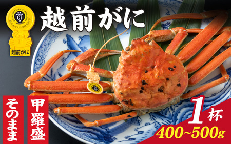 【感謝価格】選べる！美味しさ直送 【成前特選】 越前がに（400g～500g）×1杯 【11月～3月発送】[D-028042] / かに かに