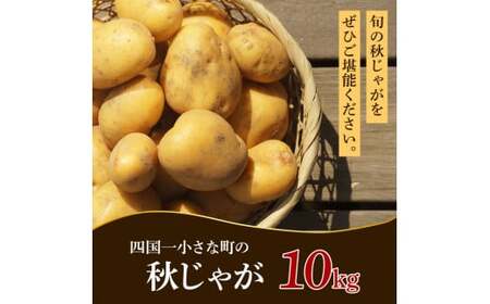  令和8年産 秋じゃがいも 10kg　★令和8年11月下旬発送開始★