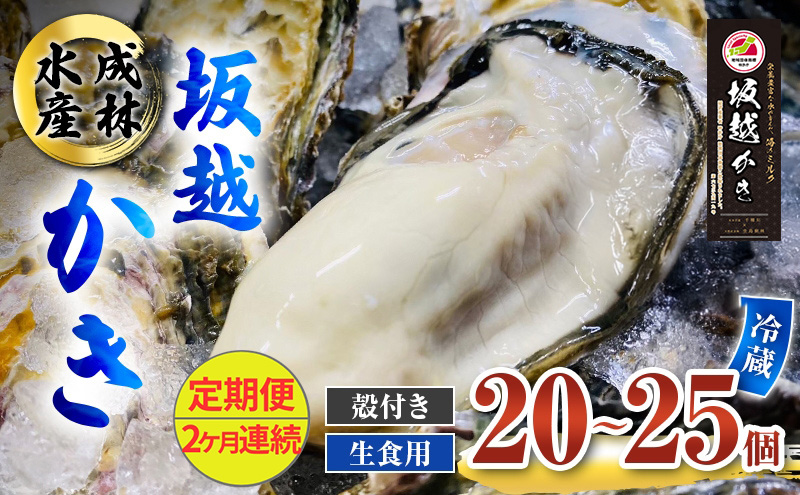 定期便 牡蠣 生食用 坂越かき 殻付き 20～25個《2ヶ月連続お届け》 成林水産 [ 生牡蠣 真牡蠣 かき カキ 冬牡蠣 ]