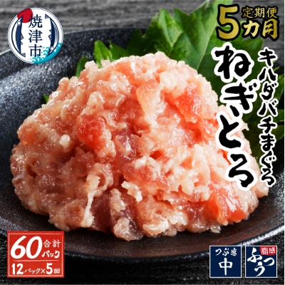 ふるさと納税 焼津市 【定期便 全5回】キハダマグロ メバチマグロ 80g×12パック(a50-142)