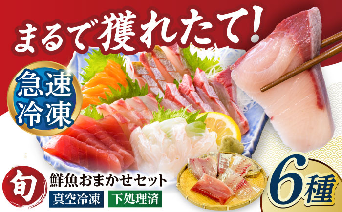 超速冷凍鮮魚6種（5種+焼物用1種） 五島市/金沢鮮魚 魚  鮮魚 鮮魚ボックス [PEP064]