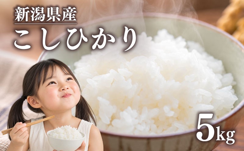 
                  新米 新潟県産 コシヒカリ 5kg 新米 令和8年産 米 白米 こめ ごはん おにぎり お弁当 農家直送 産地直送 ふるさと納税 四代目 悠助 新潟 新潟県 新発田市 kwsKK001_01
                