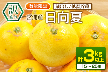 先行予約 訳あり 宮浦産 蔵出し 日向夏 計3kg以上 期間限定 数量限定 フルーツ 果物 くだもの 柑橘 みかん 令和8年発送 国産 産地直送 新鮮 食品 ジュース デザート フルーツサンド おやつ ご褒美 おすそ分け ご家庭用 ご自宅用 宮崎県 日南市 送料無料_BC131-25