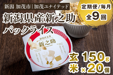 【定期便9ヶ月毎月お届け】新潟県産 新之助 玄米パックライス（150g×20個入） 新潟産米 自宅で簡単 パックごはん 時短 贈り物にも ブランド米 加茂市 加茂ユナイテッド 米 米 米 米 米 米