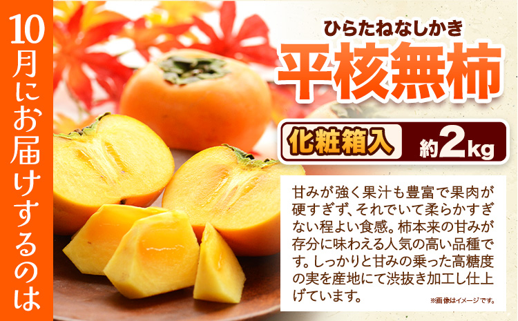 【発送月固定定期便】フルーツセット 果物セット(すいか 桃 ひらたねなし柿)【全３回】 魚鶴商店《6月中旬-10月末頃出荷予定(土日祝除く)》 和歌山県 日高町 すいか 小玉すいか ひとりじめ 桃 平