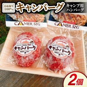 キャンバーグ300g×2個(鳥取和牛100%キャンプ用ハンバーグ)【配送不可地域：離島】【1682805】