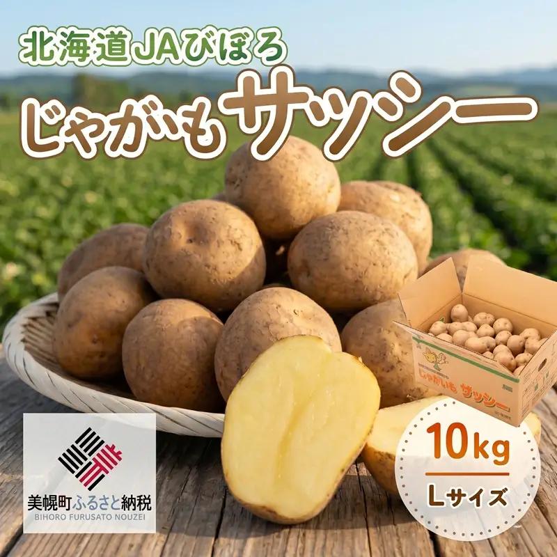 じゃがいも「サッシー」Lサイズ・10kg AF035 | じゃがいも サッシー