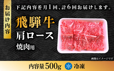 【6回定期便】 飛騨牛 焼肉用 ロース・肩ロース 500g A4等級以上  多治見市 / 渡辺精肉店 和牛 ブランド牛 牛肉[TAZ032]
