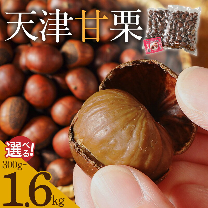 【ふるさと納税】新栗 予約受付 天津甘栗 衣浦食品 選べる 容量 お試し 300g ～ 1.6kg 300g 800g栗爪付き 1.6kg のみ みそ味ピーナッツ 50g 付き やさしい甘み 河北省 栗 甘栗 焼き栗 保存料 不使用 焼いた当日 発送 栗ご飯 おやつ 常温 お取り寄せ 愛知県 碧南市 送料無料