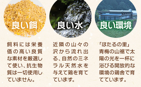 【定期便】かわなべ鶏卵農場のこだわりのたまごもみじたまご30個6ヶ月連続お届け/こだわり 国産 青梅市産 鶏 鳥 卵 たまご タマゴ 玉子 朝食 卵かけご飯 ＴＫＧ ゆでたまご 赤玉 卵黄 卵白 健康
