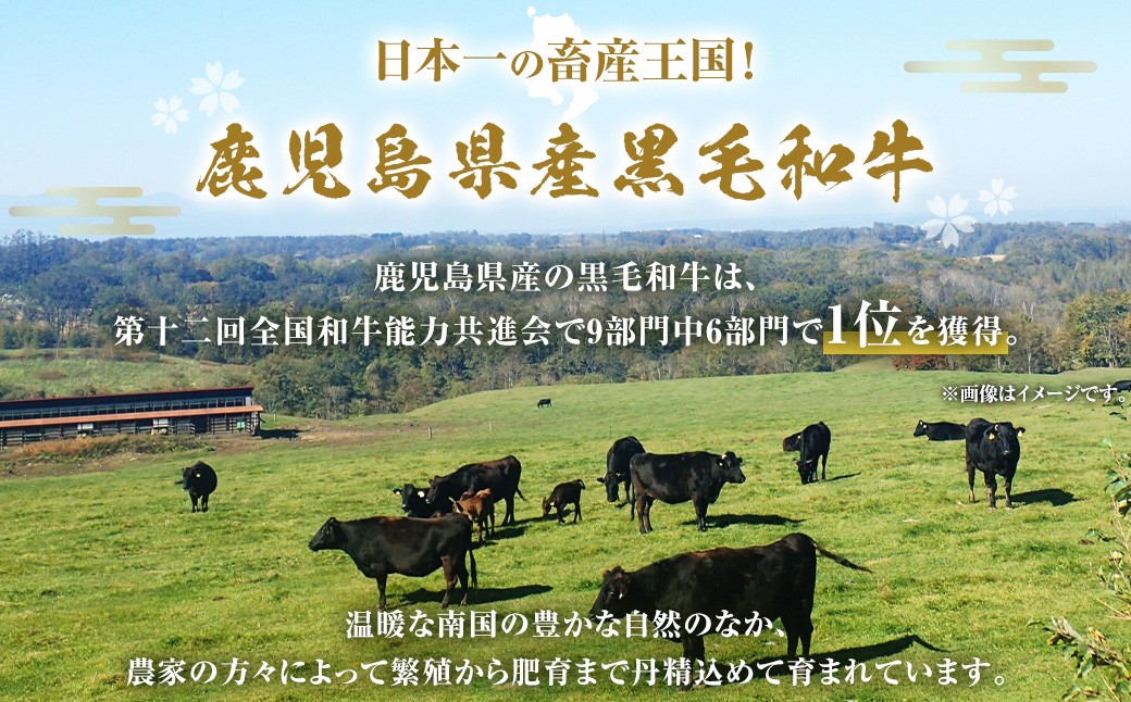 【3回定期便】【鹿児島県産】黒毛和牛 赤身ももスライス 1.2kg（400g×3パック）×3回