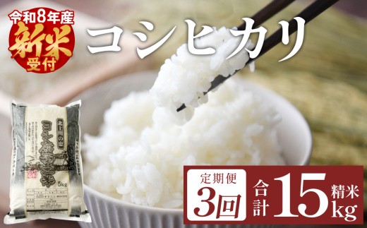 ＜ 先行予約 ＞ 【 定期便 3回 】令和8年産 コシヒカリ 精米 15kg (5kg×3) 新米 こめ コメ お米 ご飯 白米 こしひかり IS01339-02-sku