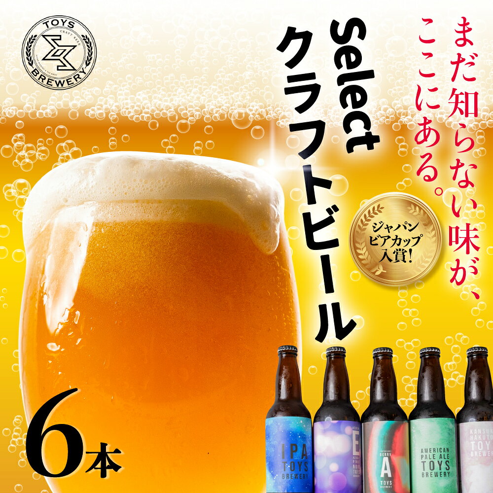【ふるさと納税】JBC入賞 クラフトビール アソート 6本 セット TOYS BREWERY　種類おまかせ 30種 季節限定 発泡酒 ペールエール IPA ヴァナッチャ ピノ・アール