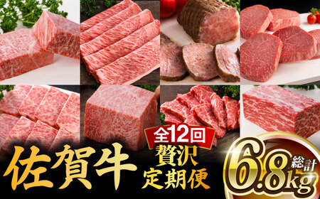 【全12回】佐賀牛 A5 霜降り 食べ比べ 定期便 約2-3人前 総計6.8kg  /焼肉どすこい [UCC004] 最高級 牛肉 肉 ステーキ スライス ローストビーフ 焼肉
