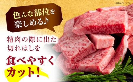 訳あり 佐賀牛 はしっこちゃん＜ロース カルビ＞ 500g HCS023 焼肉 BBQ 佐賀牛