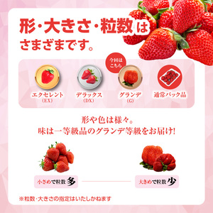 【先行受付：2025年2月発送開始】博多あまおうＧ270g×8パック｜ＪＡふくおか八女　002-023