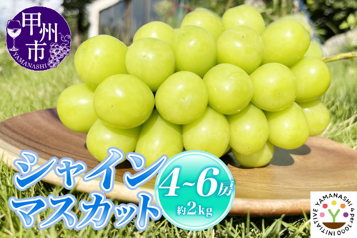 
            【新鮮朝採】KOSHUシャインマスカット 約2kg（4～6房）【2025年発送】（SFM）C-965 【シャインマスカット 葡萄 ぶどう ブドウ 令和7年発送 期間限定 山梨県産 甲州市 フルーツ 果物】
          