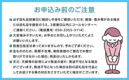 定期便3回 ぶどう 2024年 先行予約 晴れの国 岡山の シャイン マスカット 晴王 ×3回！(各1房) 葡萄 岡山県産 国産 フルーツ 果物 ギフト [No.5220-1364]