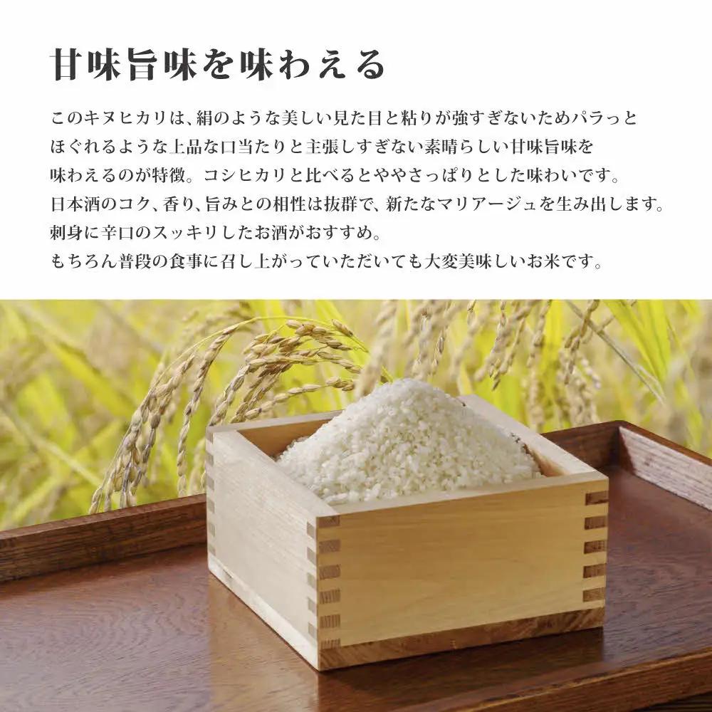 令和7年産 キヌヒカリ 白米 10kg (5kg×2)