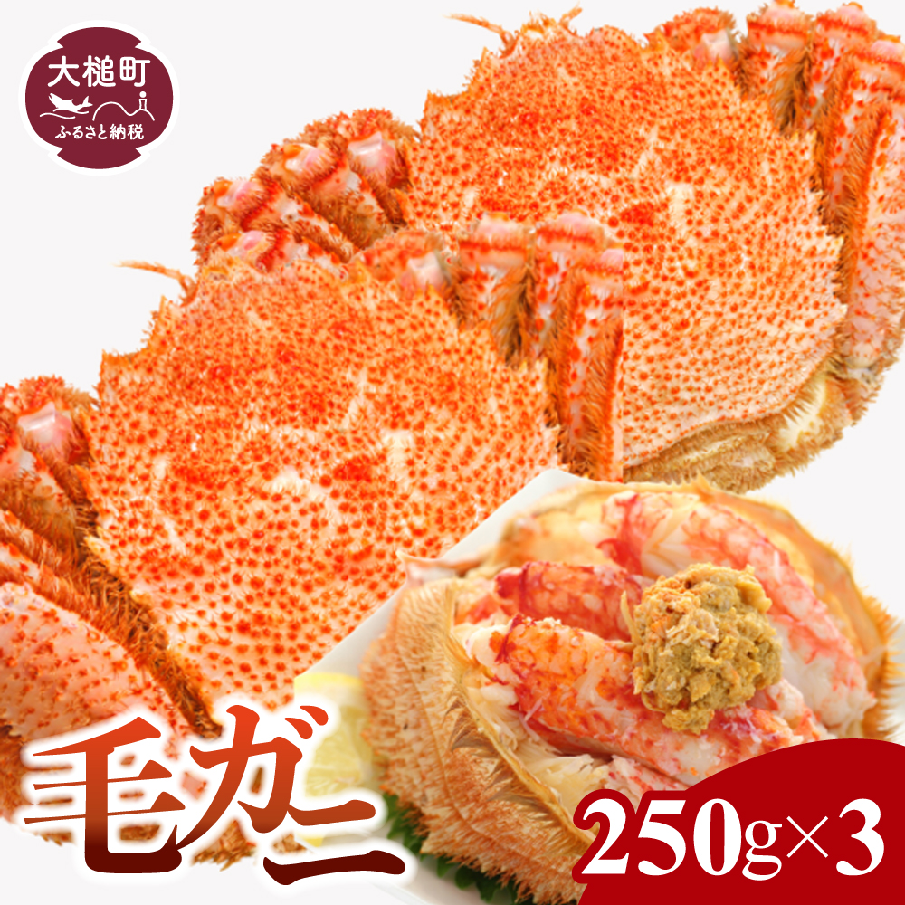 【令和8年発送】三陸産 三陸活毛ガニ 250g×3杯【2026年3月～4月発送】【05】