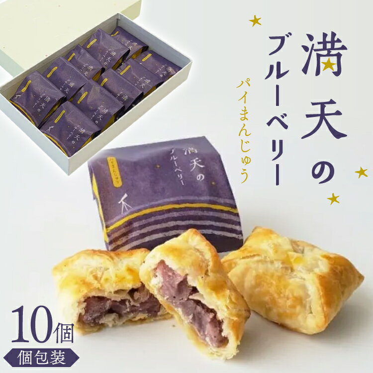【ふるさと納税】お菓子 個包装 満天のブルーベリー 10個入 [谷口製菓 石川県 宝達志水町 38601295] 菓子 焼菓子 菓子折り 和菓子 パイ スイーツ おかし おやつ 常温 ブルーベリー