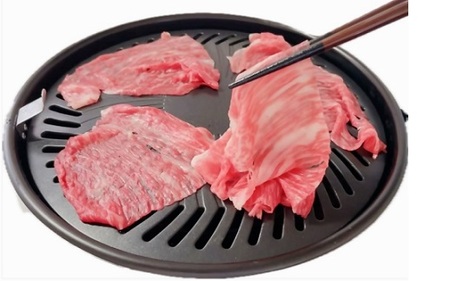 松阪牛うす切り焼肉（赤身）500ｇ 牛肉 焼肉【2-175】
