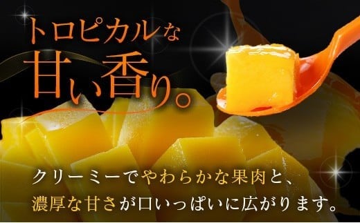 ≪先行予約≫ 宮崎県産 完熟マンゴー「太陽のタマゴ」約2kg 計4～6玉 2026年発送 ブランド 南国 トロピカル フルーツ 果物 くだもの 化粧箱入り 約2kg（2～3玉×2箱）