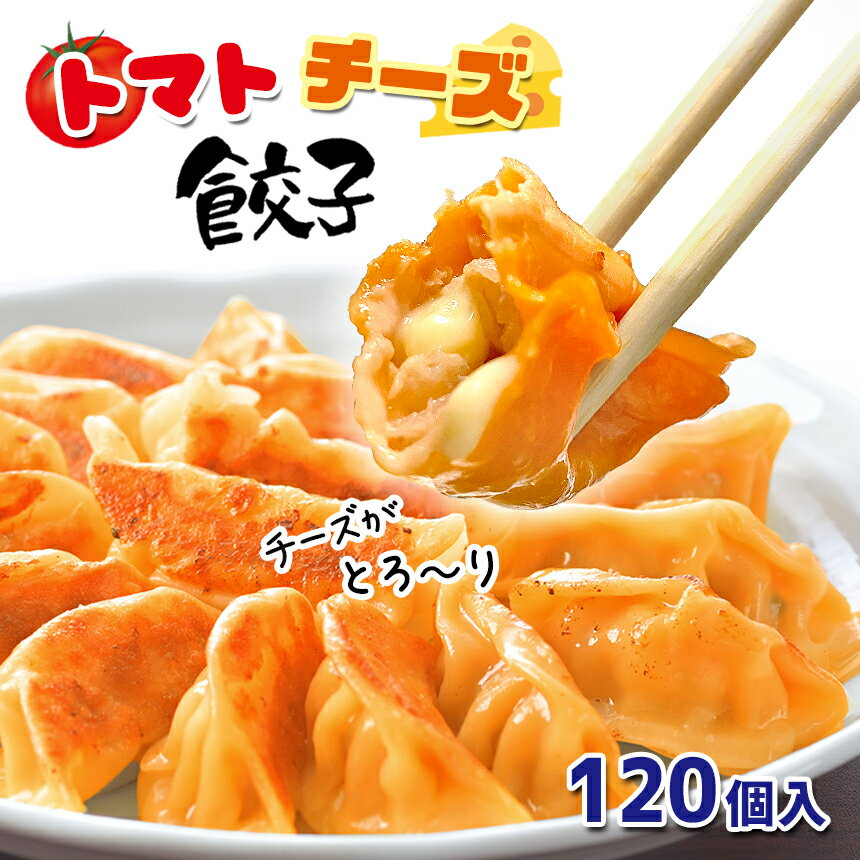 【ふるさと納税】餃子トマトチーズ餃子 120個 家庭用 餃子 トマト チーズ 玉名 冷凍 送料無料 お取り寄せグルメ　グルメ 中華 おかず 中華料理 冷凍食品 食品 人気 熊本県 タレ とまと ぎょうざ ギョウザ つまみ 限定 大容量 120個 冷凍 黒豚 国産 トマチー