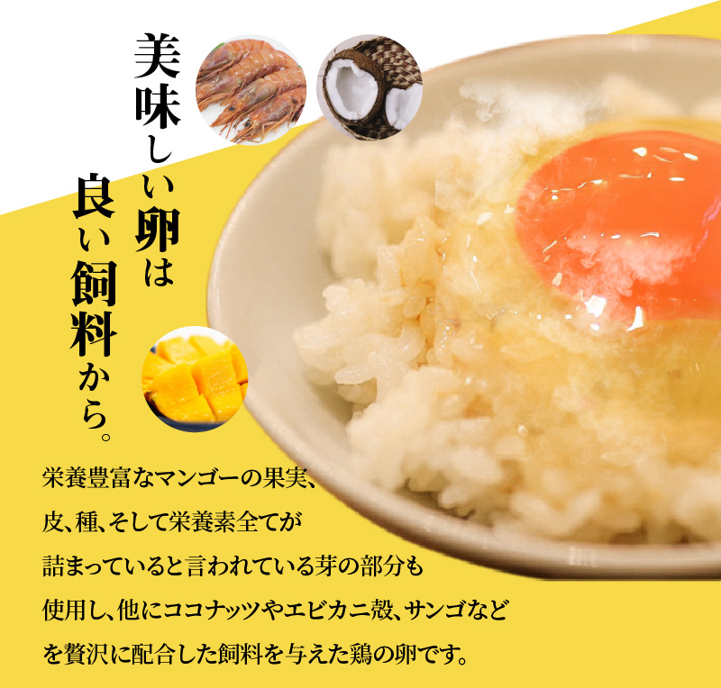 S038-T03_【定期便3回】天草 タマンゴ 6個 卵