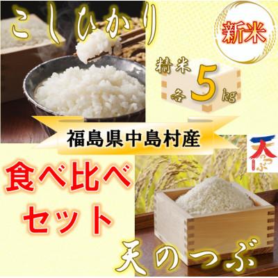 ふるさと納税 中島村 【数量限定/令和7年産】中島村産『コシヒカリ』『天のつぶ』(精米・各5kg) 食べ比べセット