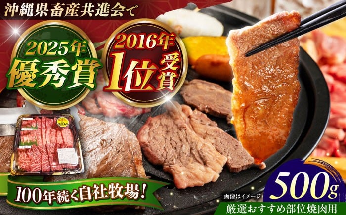 
                  牛肉 佐渡山牛 厳選おすすめ部位 焼肉用 500g 肉のサブロー [BCBC003]  牛肉 沖縄県産 和牛 牛 ぎゅうにく ウシ うし ギュウニク 国産和牛 わぎゅう ビーフ Beef beef 国産 黒毛和牛 にく お肉 おにく 肉  部位 カルビ かるび ロース ろーす ウデ もも モモ 焼肉 やきにく 焼肉用 BBQ バーベキュー お取り寄せ ギフト グルメ 沖縄県 沖縄市 沖縄
                